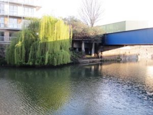 Limehouse Cut 8 ws