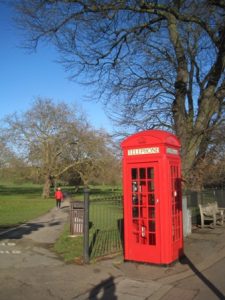 Primrose Hill ws