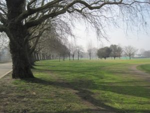 Victoria Park ws